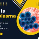 What Is Ureaplasma? Symptoms, Risks, and What the Latest Research Says